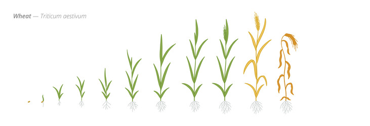 Similar image 22258133