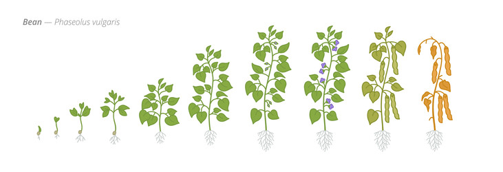 Similar image 22247808