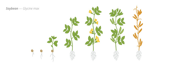 Similar image 22258134