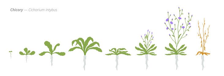 Similar image 22258135