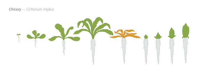 Similar image 22258136