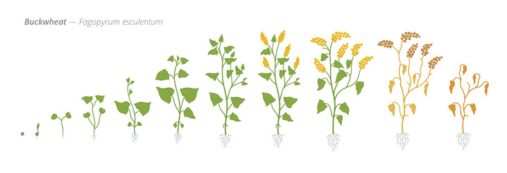 Similar image 22247809