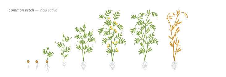 Similar image 22258137