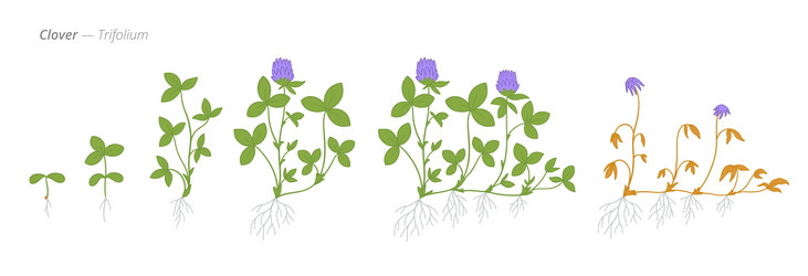 Similar image 22247810