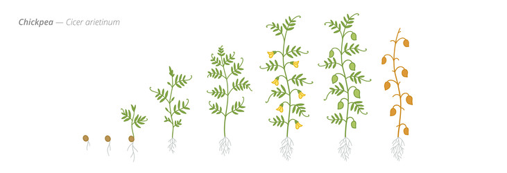 Similar image 22258140