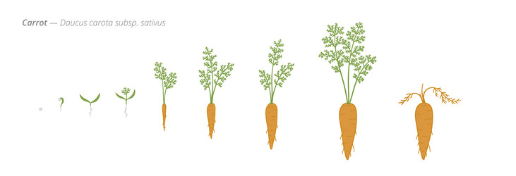 Similar image 22247811