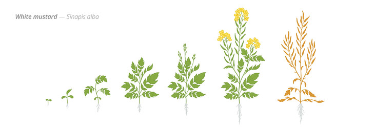 Similar image 22247812