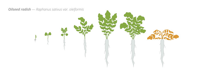 Similar image 22258142