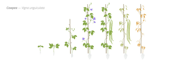 Similar image 22247813