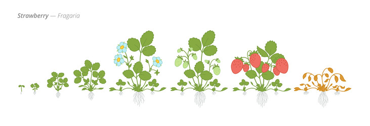 Similar image 22258144