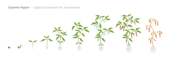 Similar image 22247814