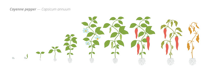 Similar image 22258145