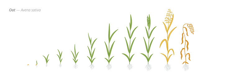 Similar image 22258146