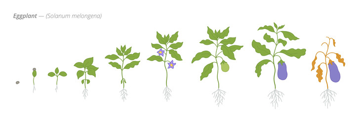 Similar image 22247815