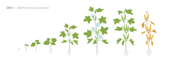 Similar image 22258147