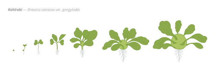 Similar image 22258148