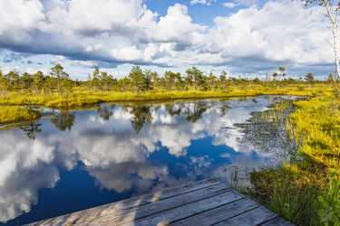 Similar image 22258118