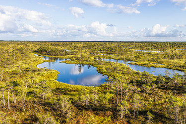 Similar image 22247454