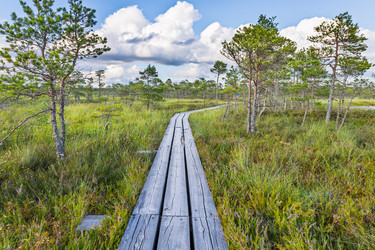 Similar image 22247526