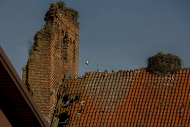 Similar image 22246698