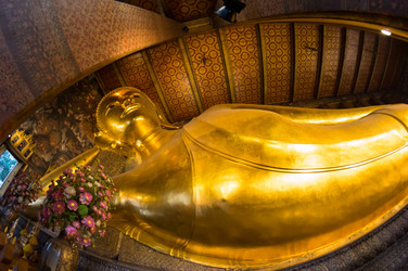 Similar image 22247762