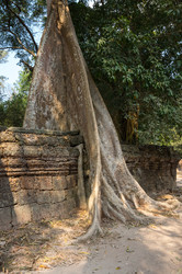 Similar image 22247777