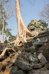 Similar image 22247778