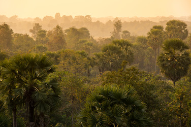 Similar image 22247825