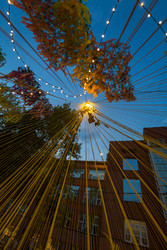 Similar image 22247833