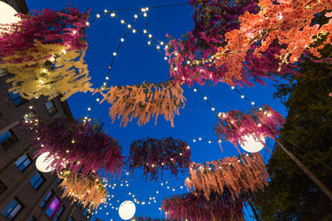 Similar image 22247635