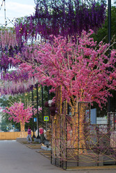 Similar image 22247636