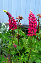 Similar image 22247026