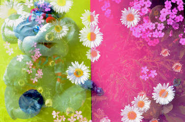 Similar image 22247027