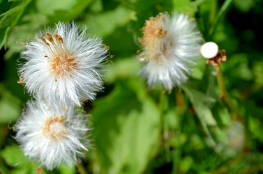 Similar image 22247028