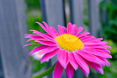 Similar image 22247029