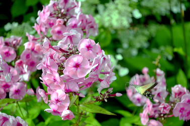 Similar image 22247030