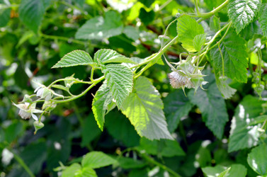 Similar image 22247031