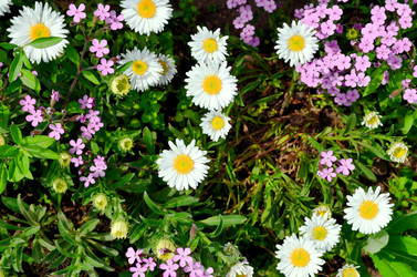 Similar image 22247032