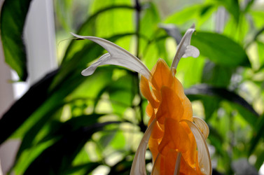 Similar image 22247033