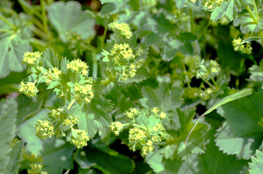 Similar image 22247034