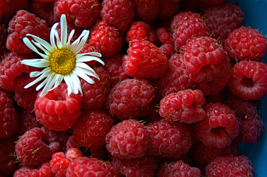 Similar image 22247035