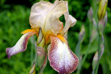 Similar image 22247036