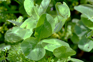 Similar image 22247037