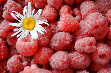 Similar image 22247039