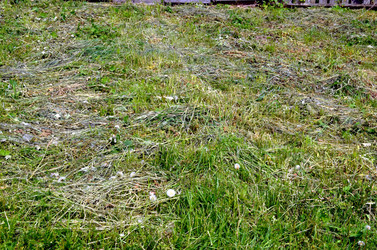 Similar image 22247040