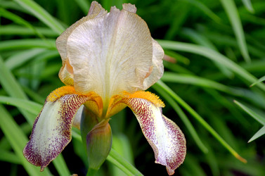 Similar image 22247041