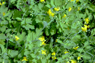 Similar image 22247042