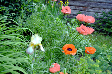 Similar image 22247046