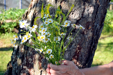 Similar image 22247047