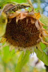 Similar image 22247224